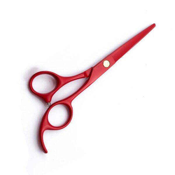 Barber Scissors