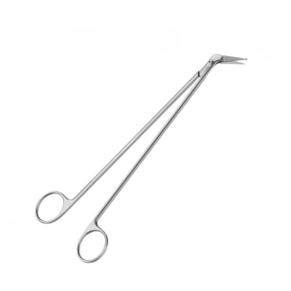 Surgical Scissor